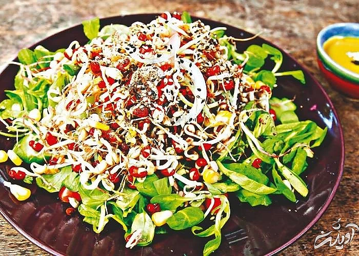 تغذیه مناسب برای چاقی صورت سالاد کاهو و جوانه گندم